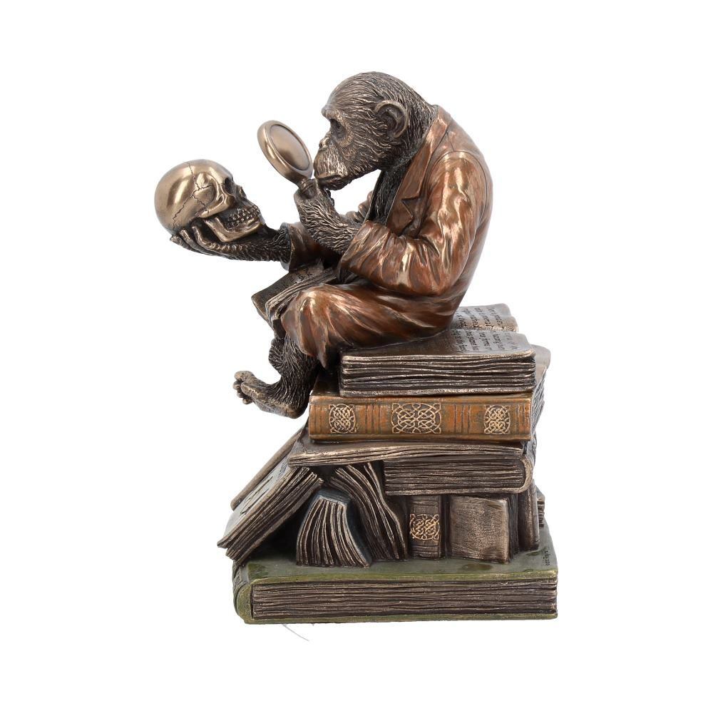 Nemesis Now - Darwinism of Evolutionary Theory Boîte décorative - Couleur bronze
